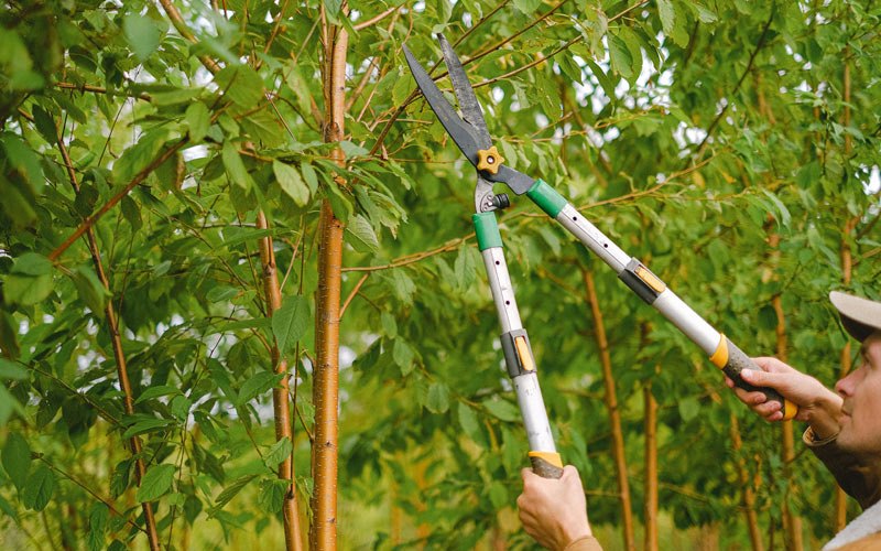 Seasonal Maintenance in Mechanicsville, IA